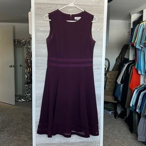 Calvin Klein Plum Strait A-Line Dress with Lace Hem